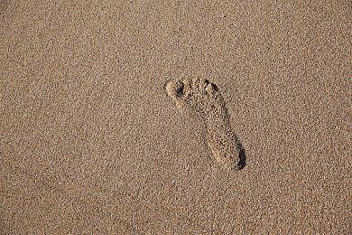 运营27载 远古MMO《The Realm Online》即将关服